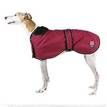 Waterproof Coat by Ginger Ted